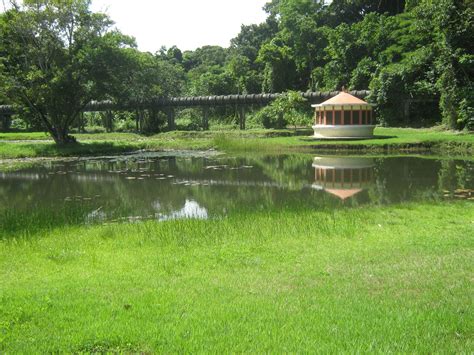 Jardim Botânico de João Pessoa: Tropikalne Uczty dla Zmysłów i Oaza Spokoju w Sercu Miasta!