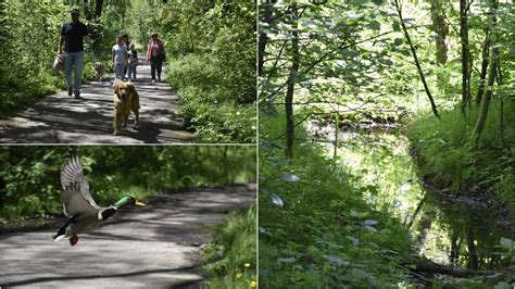  Park Wanyang - Oaza spokoju i cudów natury w Jingmen!